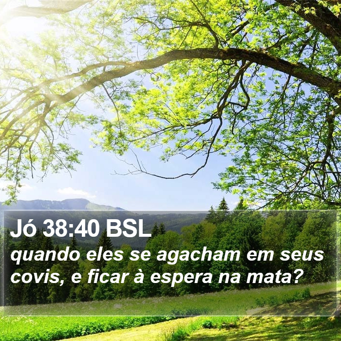 Jó 38:40 BSL Bible Study