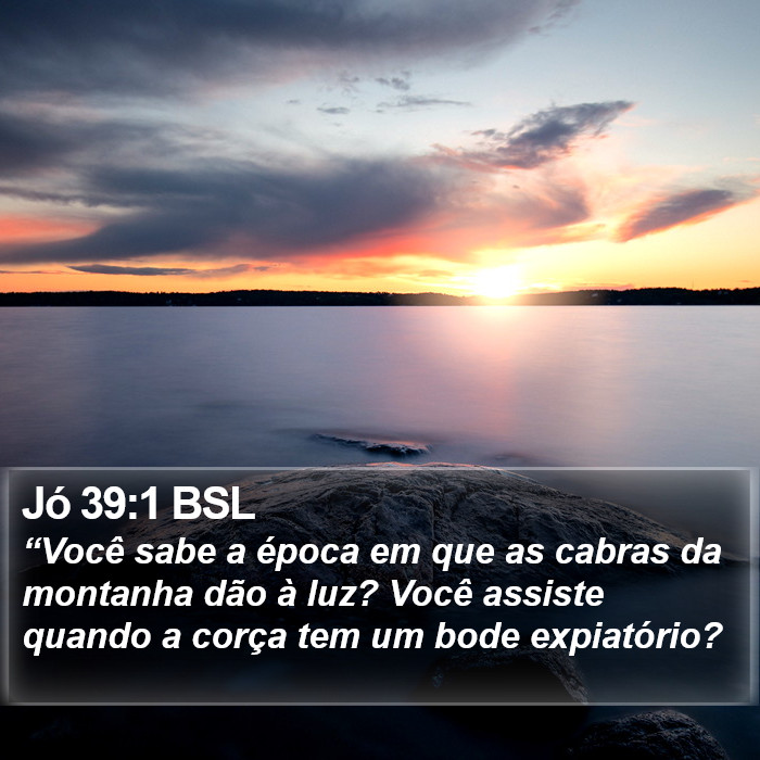 Jó 39:1 BSL Bible Study