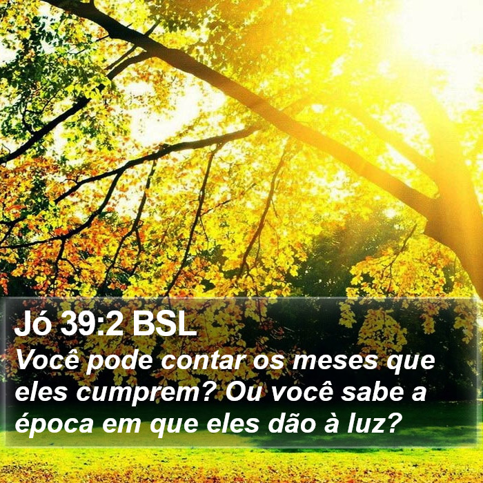 Jó 39:2 BSL Bible Study