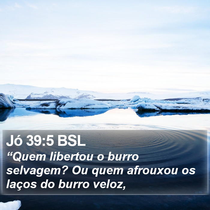 Jó 39:5 BSL Bible Study