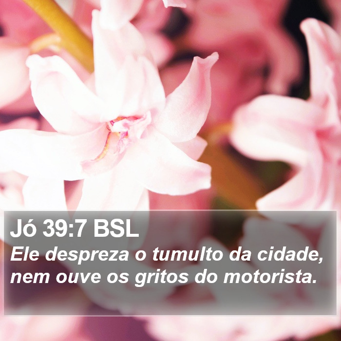 Jó 39:7 BSL Bible Study