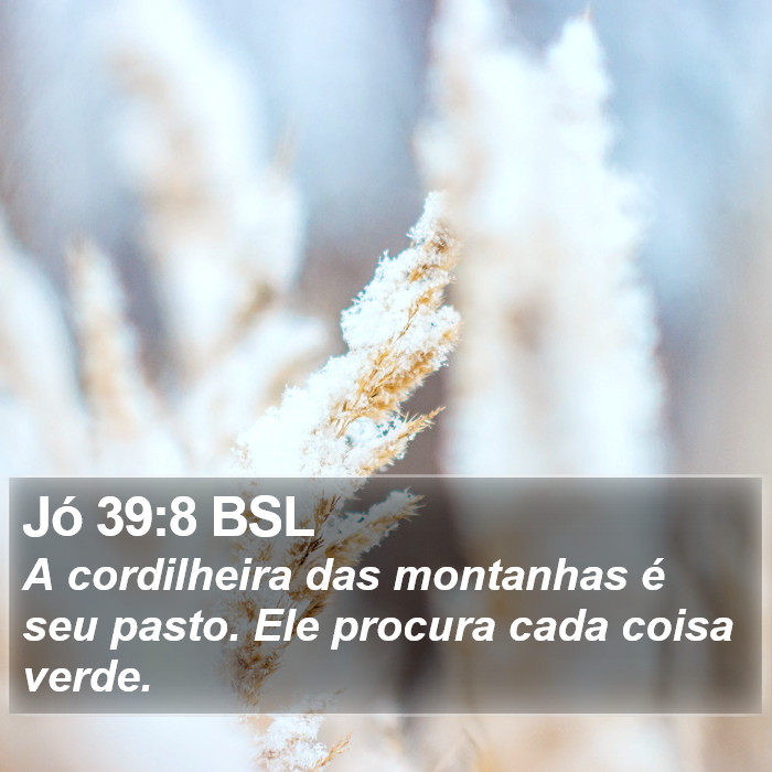 Jó 39:8 BSL Bible Study