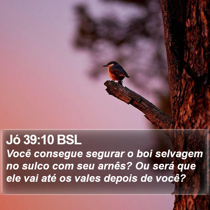 Jó 39:10 BSL Bible Study