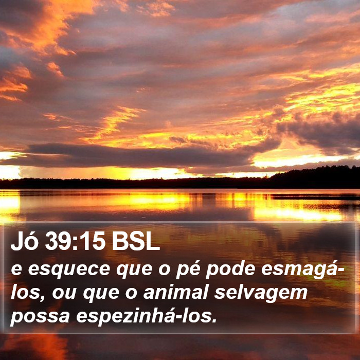 Jó 39:15 BSL Bible Study