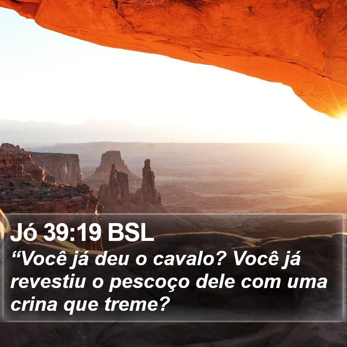 Jó 39:19 BSL Bible Study