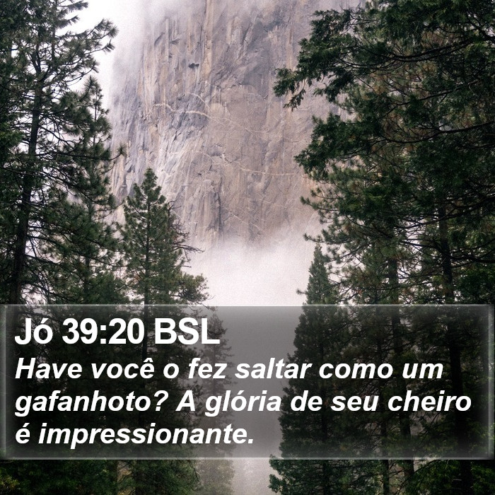 Jó 39:20 BSL Bible Study