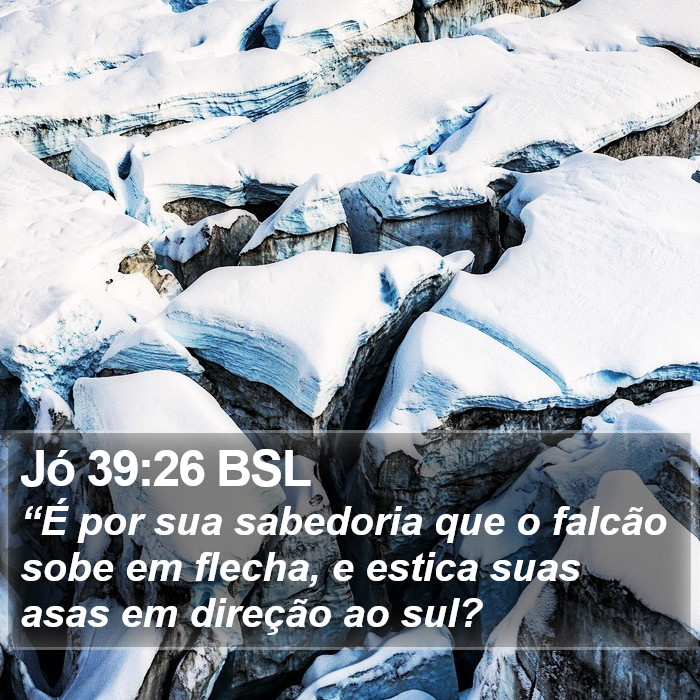 Jó 39:26 BSL Bible Study