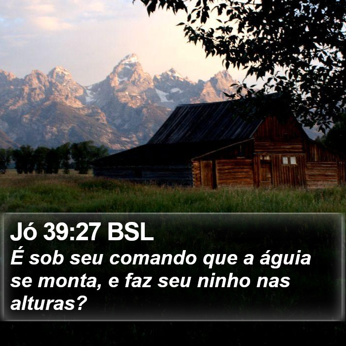 Jó 39:27 BSL Bible Study