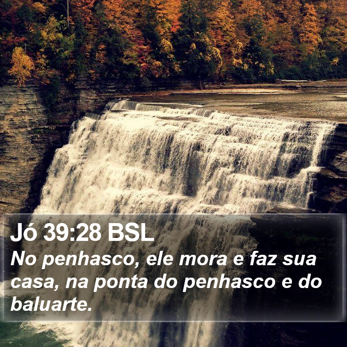 Jó 39:28 BSL Bible Study