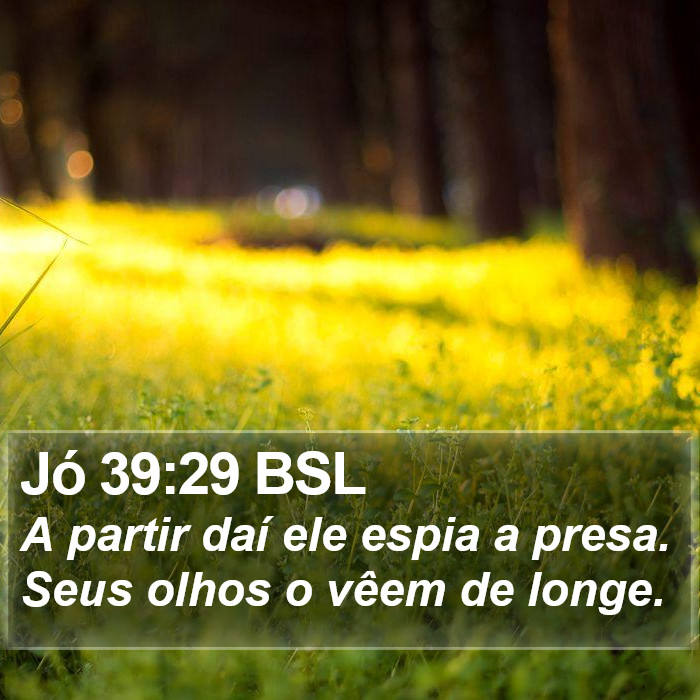 Jó 39:29 BSL Bible Study