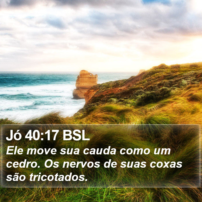 Jó 40:17 BSL Bible Study