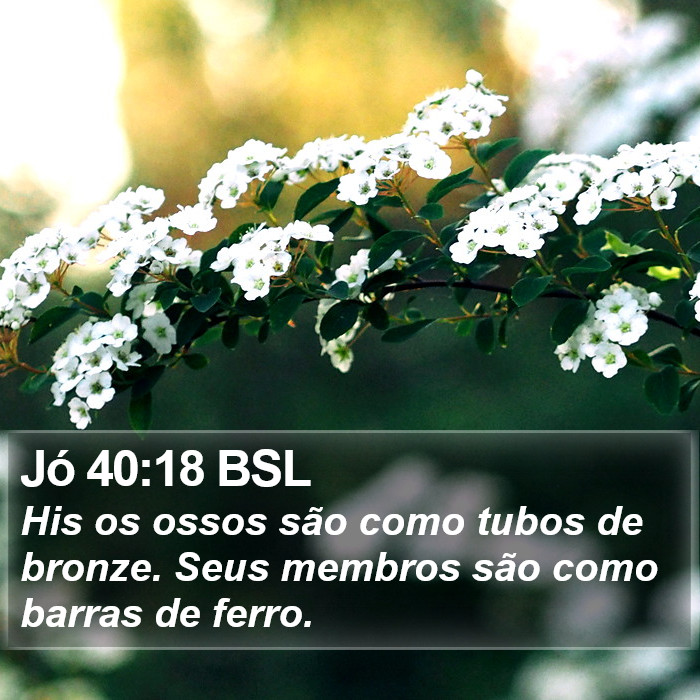 Jó 40:18 BSL Bible Study