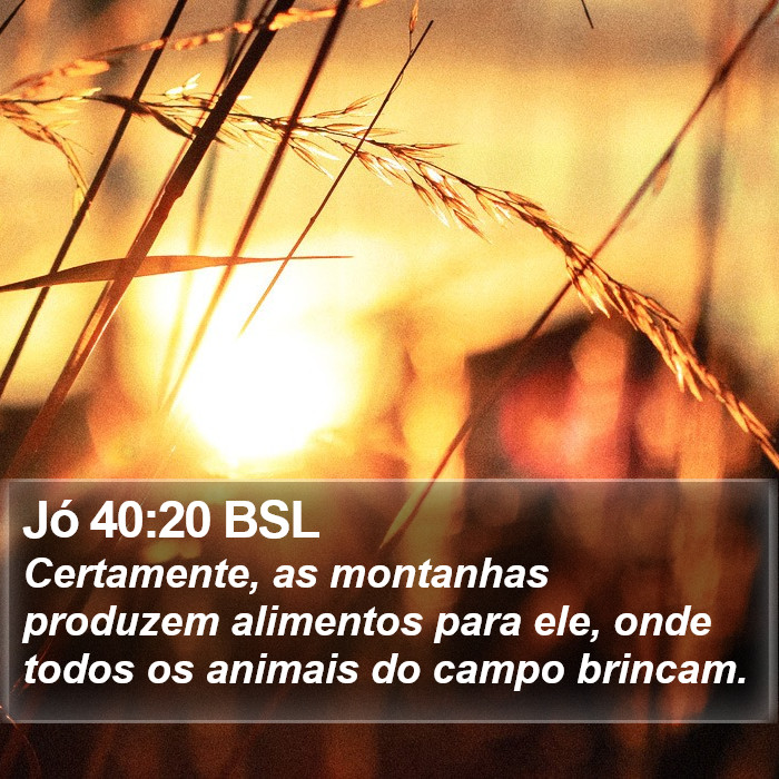 Jó 40:20 BSL Bible Study