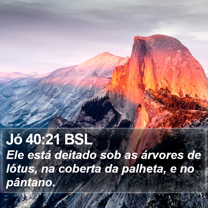 Jó 40:21 BSL Bible Study