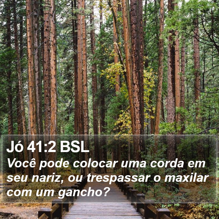 Jó 41:2 BSL Bible Study