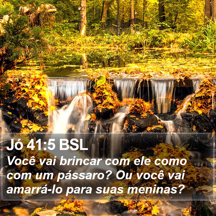 Jó 41:5 BSL Bible Study