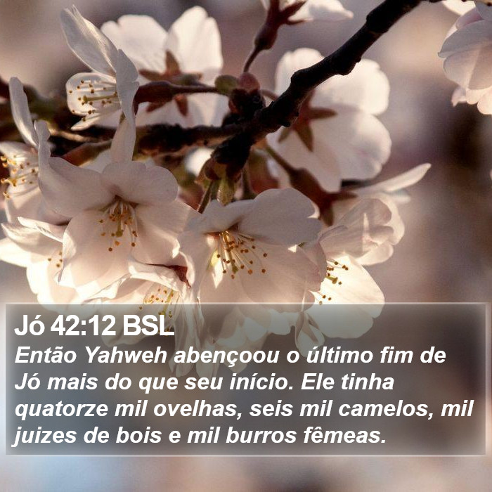 Jó 42:12 BSL Bible Study