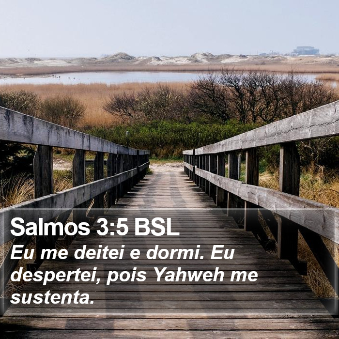 Salmos 3:5 BSL Bible Study