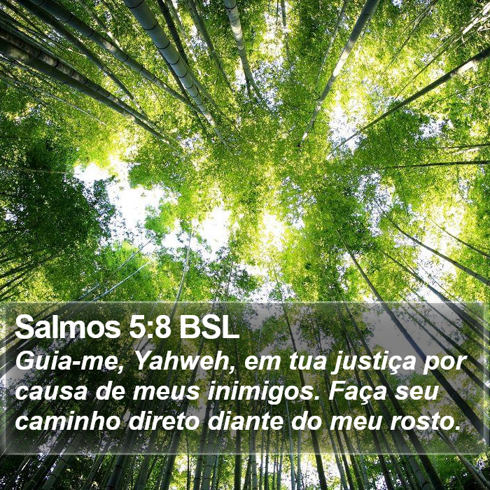 Salmos 5:8 BSL Bible Study