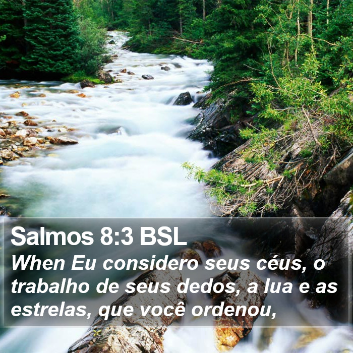 Salmos 8:3 BSL Bible Study