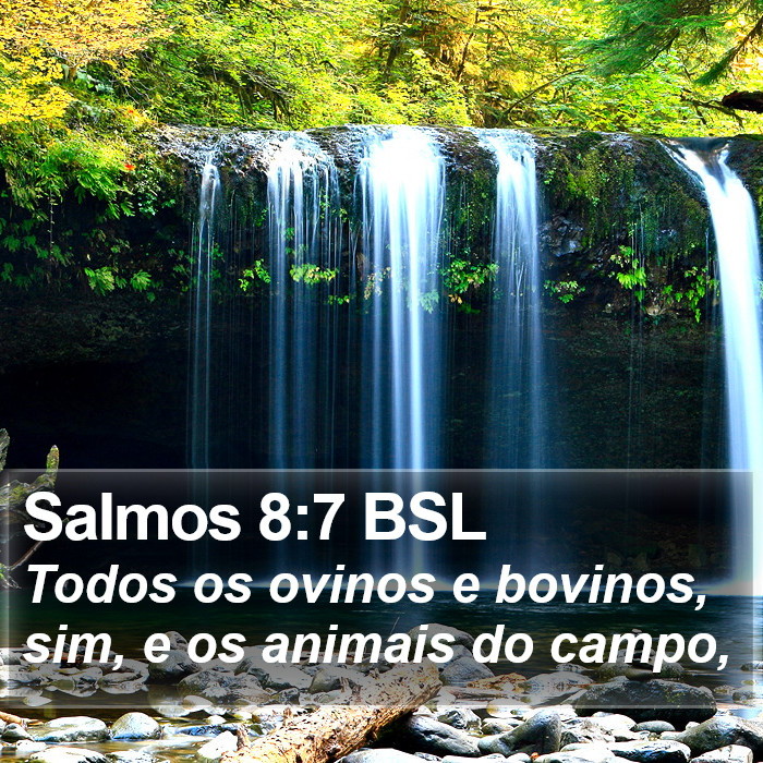 Salmos 8:7 BSL Bible Study