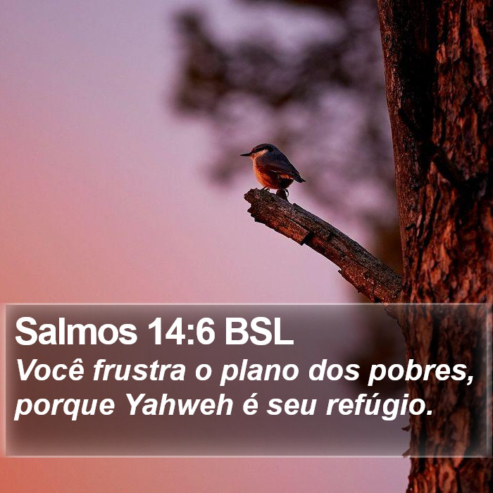 Salmos 14:6 BSL Bible Study