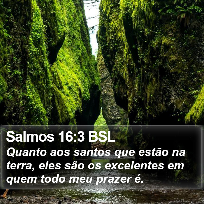 Salmos 16:3 BSL Bible Study