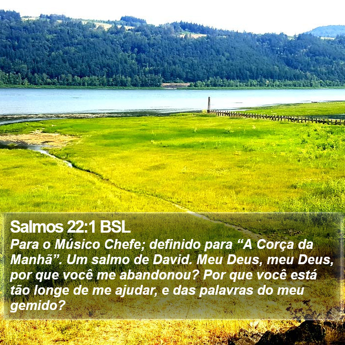 Salmos 22:1 BSL Bible Study