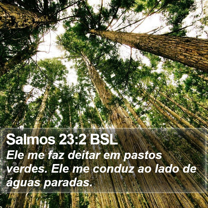 Salmos 23:2 BSL Bible Study