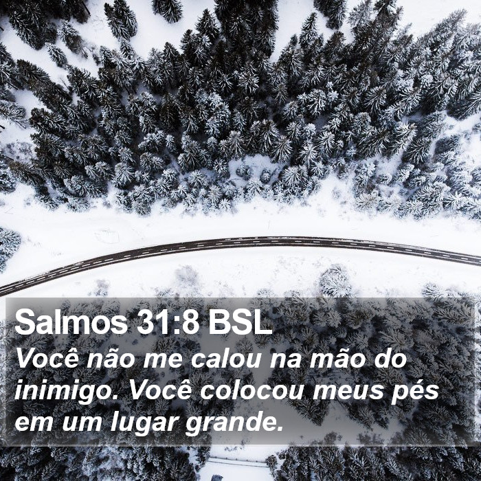 Salmos 31:8 BSL Bible Study