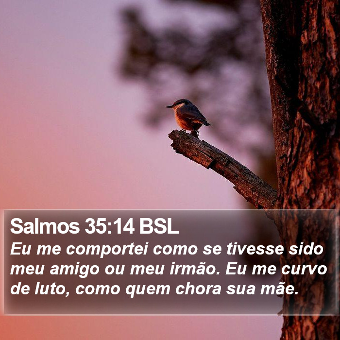 Salmos 35:14 BSL Bible Study