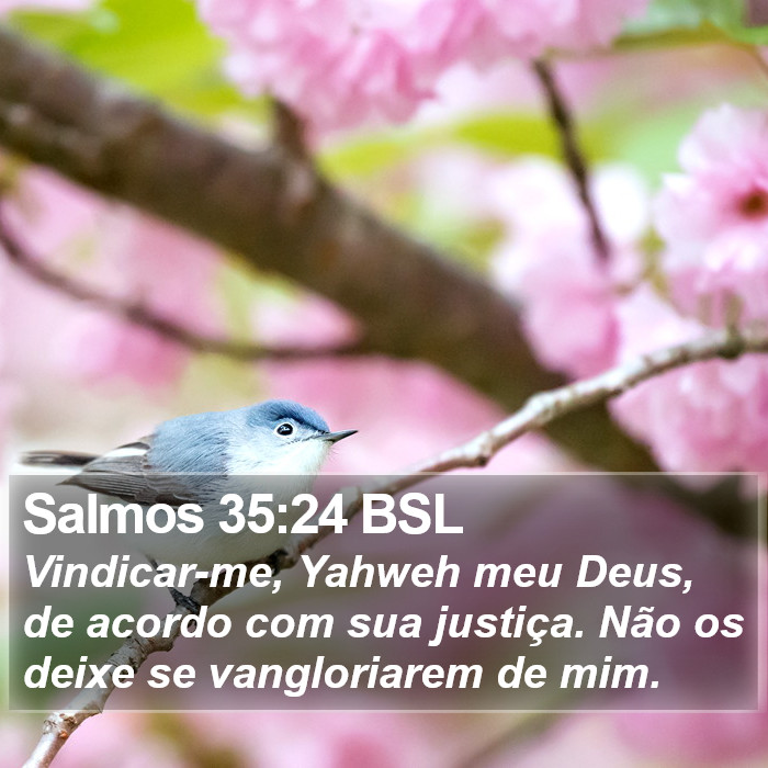 Salmos 35:24 BSL Bible Study