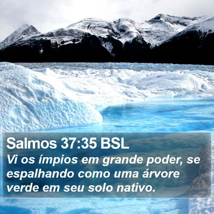 Salmos 37:35 BSL Bible Study