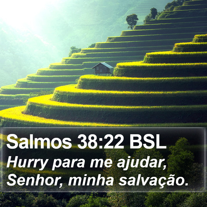 Salmos 38:22 BSL Bible Study