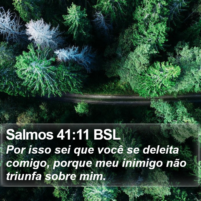 Salmos 41:11 BSL Bible Study