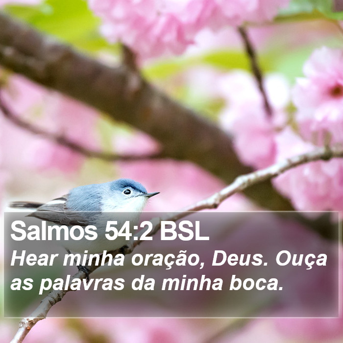 Salmos 54:2 BSL Bible Study