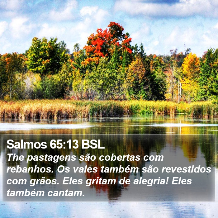 Salmos 65:13 BSL Bible Study