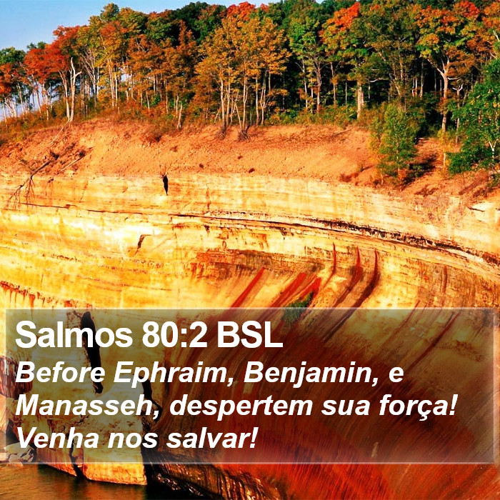 Salmos 80:2 BSL Bible Study