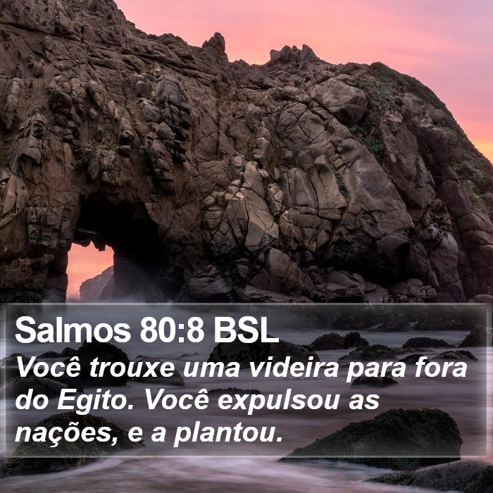 Salmos 80:8 BSL Bible Study