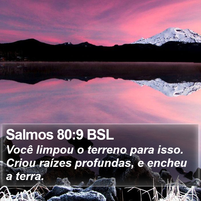 Salmos 80:9 BSL Bible Study