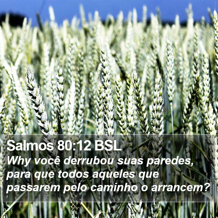 Salmos 80:12 BSL Bible Study