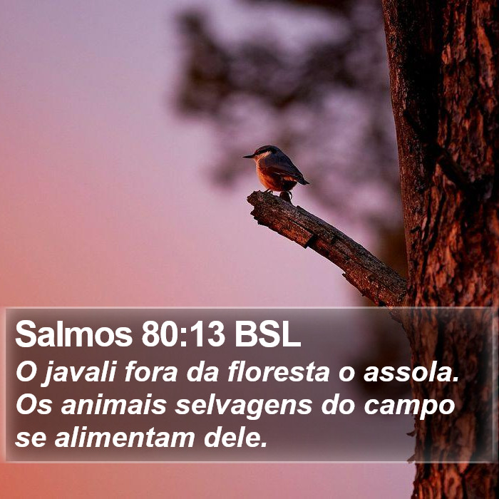 Salmos 80:13 BSL Bible Study