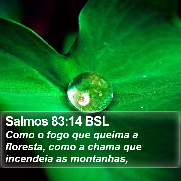 Salmos 83:14 BSL Bible Study