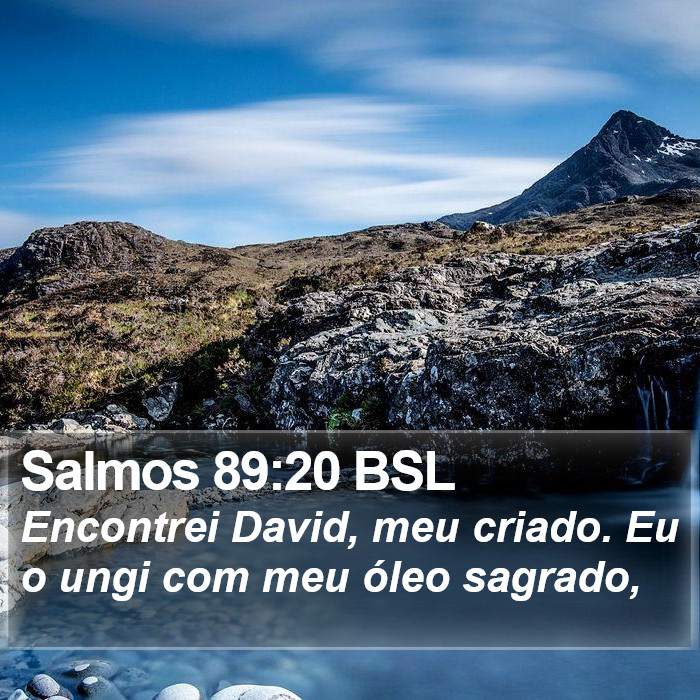 Salmos 89:20 BSL Bible Study