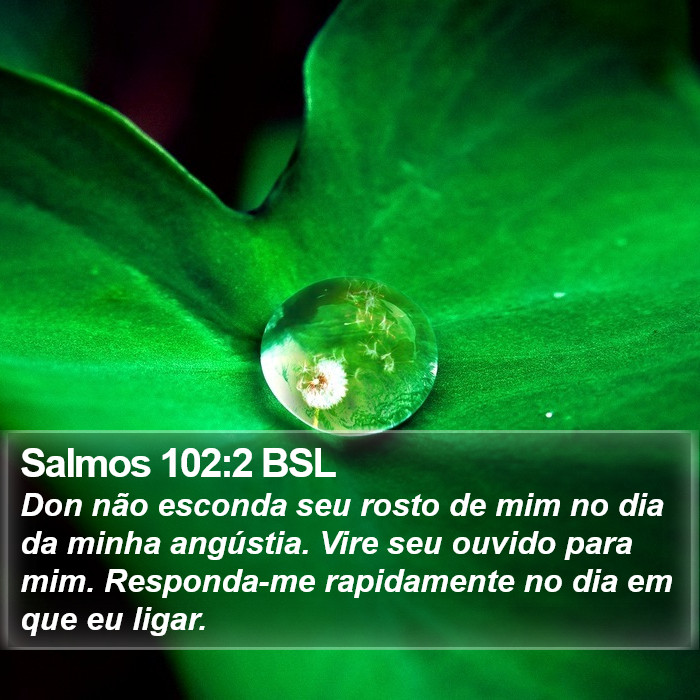 Salmos 102:2 BSL Bible Study