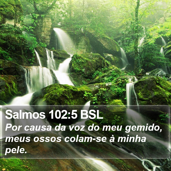 Salmos 102:5 BSL Bible Study