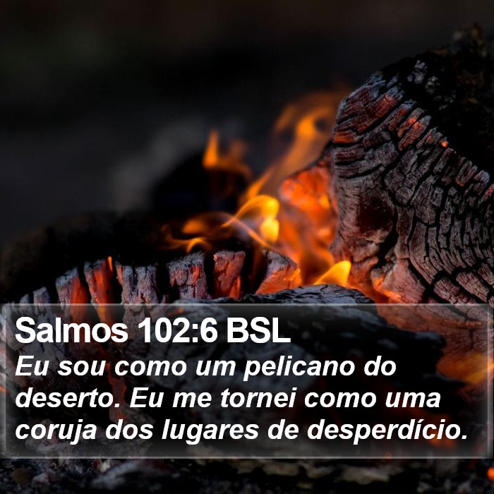 Salmos 102:6 BSL Bible Study