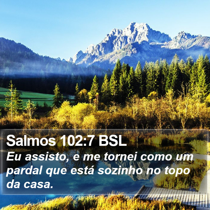 Salmos 102:7 BSL Bible Study