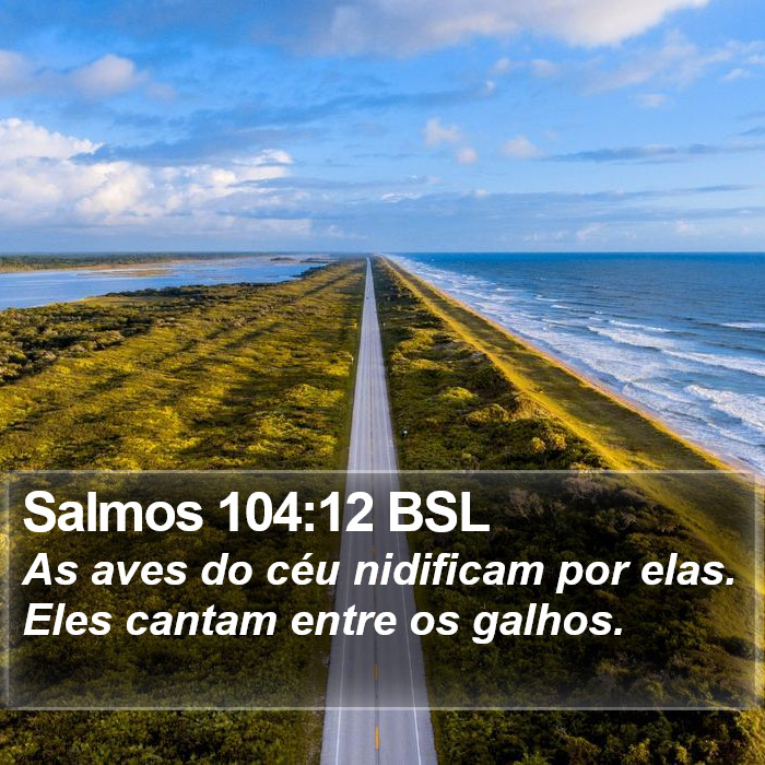 Salmos 104:12 BSL Bible Study