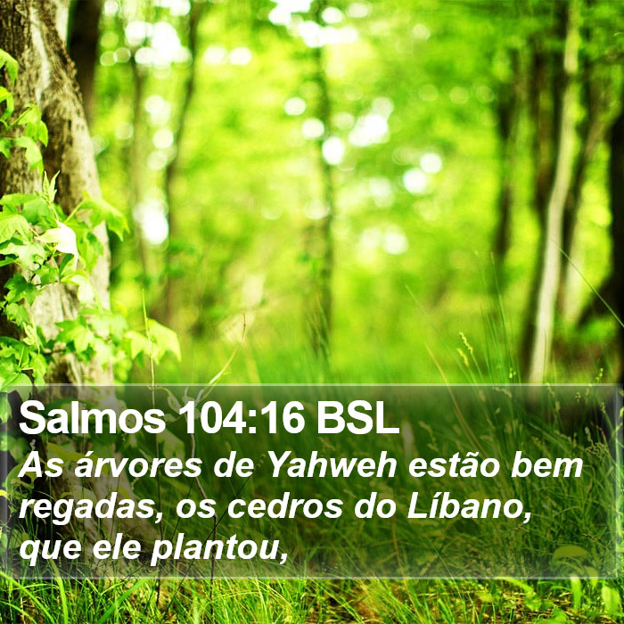Salmos 104:16 BSL Bible Study